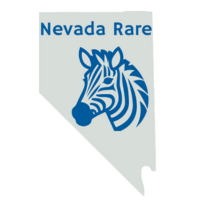 Nevada Rare